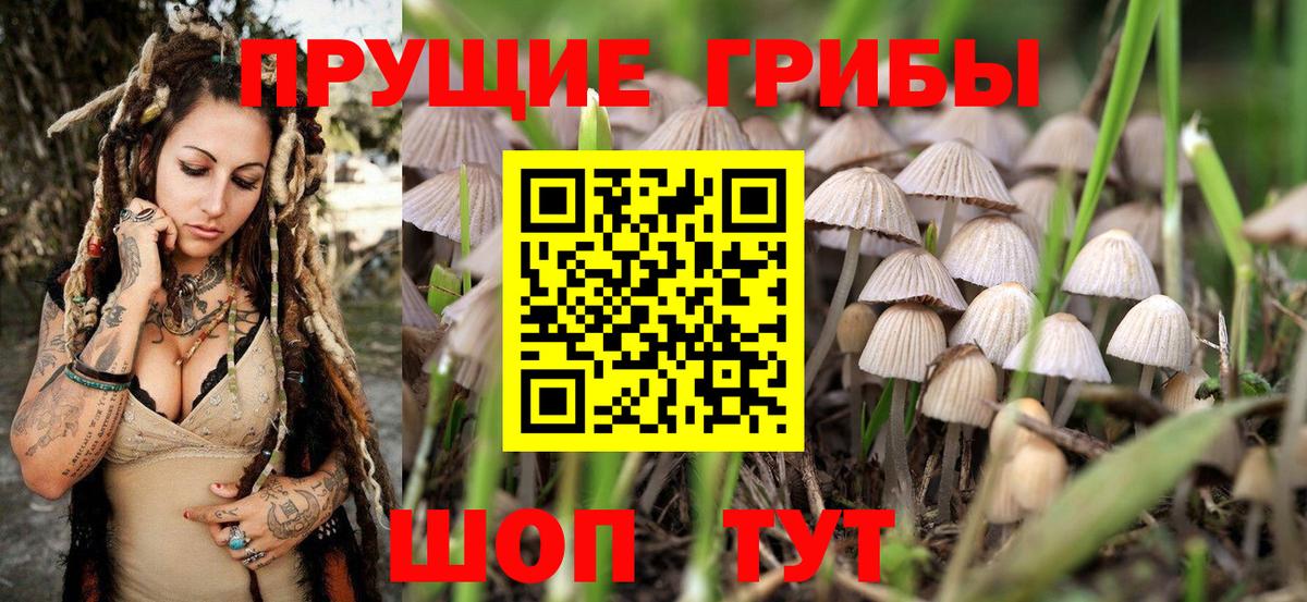 Канабис  Вход с VPN  Мефедрон кристаллы  АМФЕТАМИН кристаллы  COCAIN  ГАШ  Новочеркасск  ГАШИШ 
