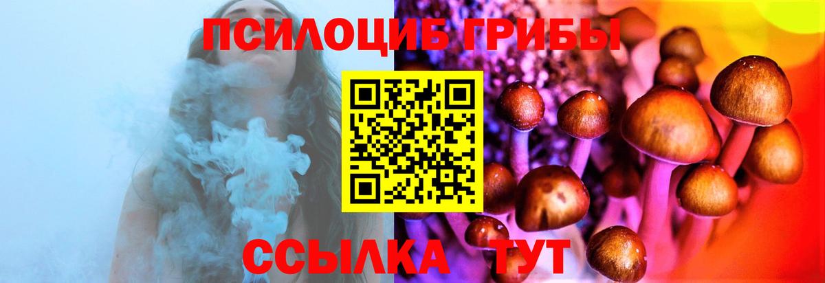 Галлюциногенные грибы мицелий Новочеркасск